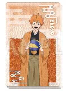 日向翔阳(流麻)-toho十周年纪念系列周边