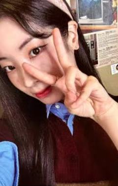 episode版专卡 豆