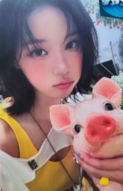 ms预售 冬