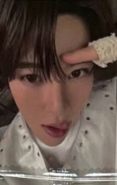 wvs预售1