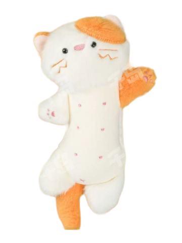 三花猫
