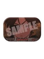 苏枋隼飞-第二季场面写系列吧唧