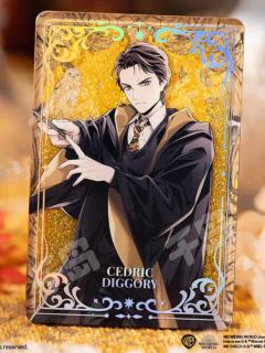 塞德里克·迪戈里(隐藏款)-魔法世界系列流沙亚克力