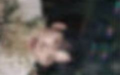 六期会员礼明信片5 ver.B