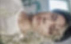 六期会员礼明信片2 ver.B