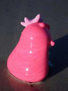 人鱼公主-资料图