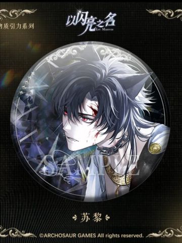 苏黎-暗物质引力徽章