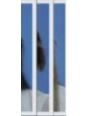 blue版证件照6
