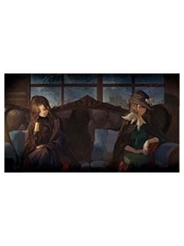 瓦伦缇娜&塞梅尔维斯(黄昏的音序明信片)-时代的记录调查员档案袋