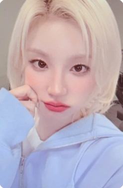 专卡 ver.14