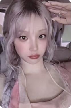 专卡 ver.12