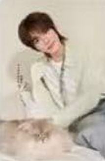 百雀羚心意小卡 ver.A1