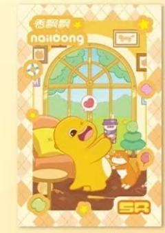 SR闪卡A款