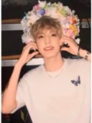 无所畏计划单人款小卡 禹 ver.A