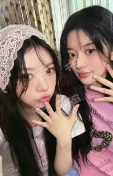 7net 23双人卡