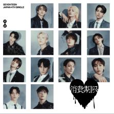 消费期限flash盘