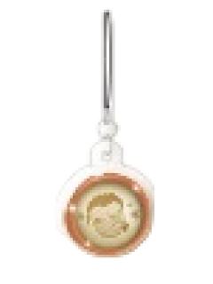 大和敢助-雪落金辉系列满赠手机挂件