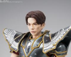 圣斗士圣衣神话EX 天马座星矢 The Beginning-资料图