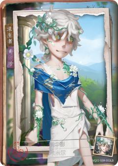 湖中影