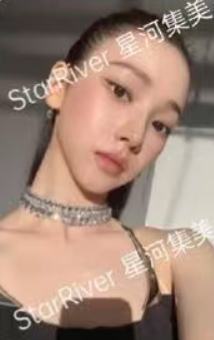 星河预售 柚 ver.B