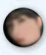首尔场毛绒吧唧4