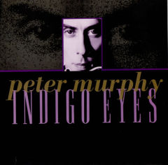 Indigo Eyes