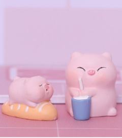 吃货猪