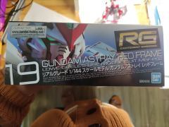 RG MBF-P02 红色异端高达-资料图