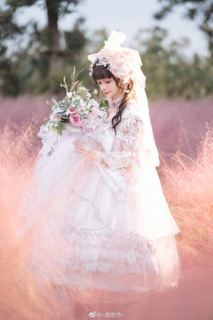 和平之春 Ver Placidum Mille fleur-资料图