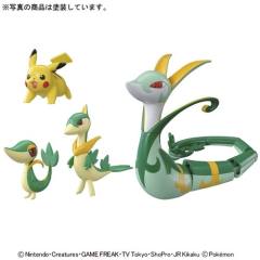 Pokemon Evolution Set 皮卡丘