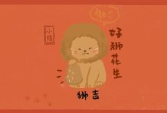 一只猫咪小吉系列-资料图