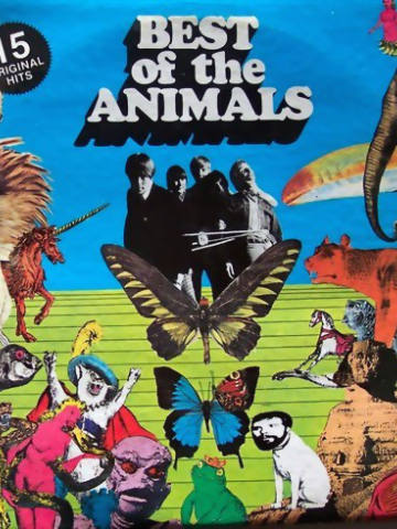 Best Of The Animals