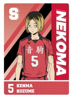 人物介绍卡20-集卡社垃圾场决战收藏卡