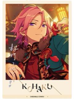 樱河琥珀拍立得-星幻时序第五弹