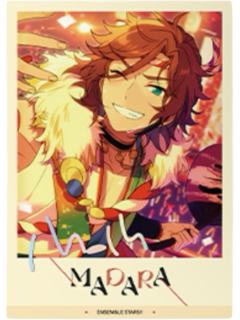 三毛缟斑拍立得-星幻时序第五弹