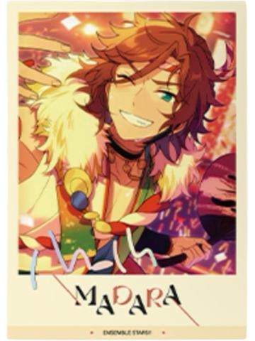 三毛缟斑拍立得-星幻时序第五弹