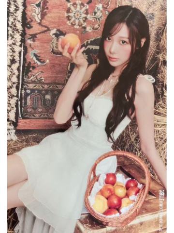 26台历a4海报 梨ver.B