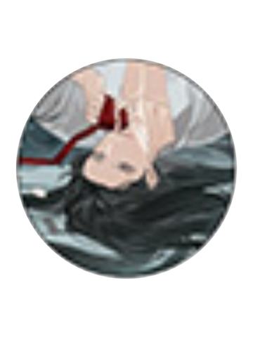 蓝忘机(闪)吧唧-AJ2026静室系列