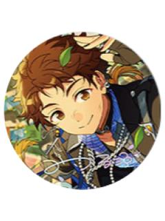 天满光徽章-盛颜系列