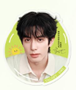 雅丽洁代言气囊支架