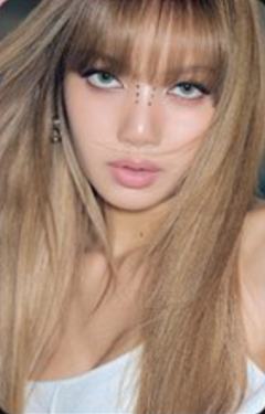 mood light版专卡 莎