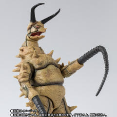 SHF <奥特曼> 古墩-资料图