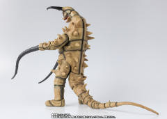 SHF <奥特曼> 古墩-资料图