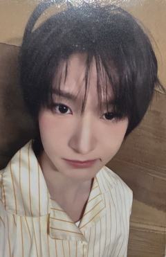 ms签售17.0 3线上苹果头ver.