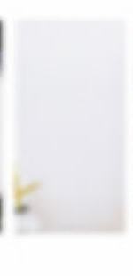 费加罗a版杂志宝丽来卡 ver.C