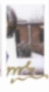 费加罗a版杂志宝丽来卡 ver.D