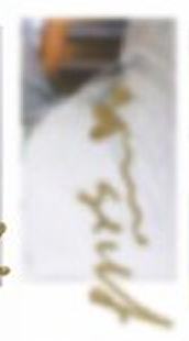 费加罗b版杂志宝丽来卡 ver.B