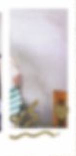 费加罗b版杂志宝丽来卡 ver.D