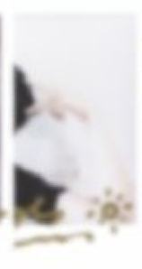 费加罗a版杂志宝丽来卡 ver.C