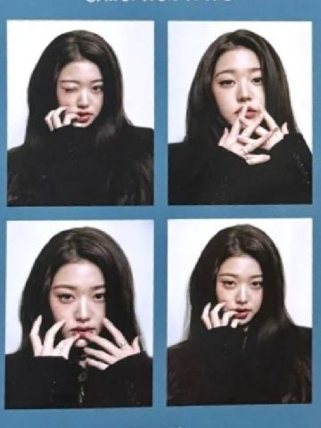 d社c版证件照四宫格 ver.B